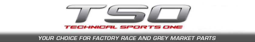 Technical Sports One, LLC Logo