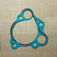 Water Pump Gasket 19229-NF4-901